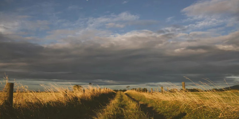 great-plain.jpg-1a53590b