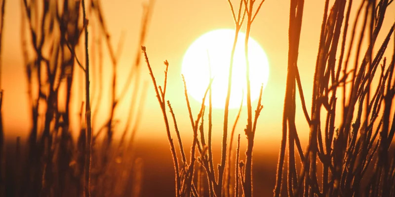 photo-1483513208063-7ae9315481fa-45a7d31d